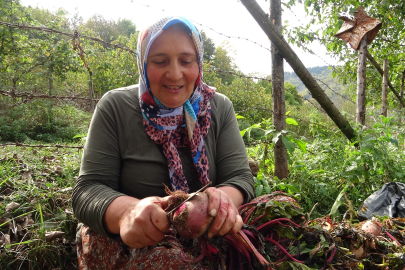Giresun Kadınları Kışa Turşu Ve Pekmezle Hazırlanıyor