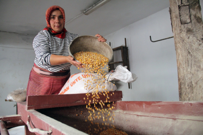 Keşap’ta Son Su Değirmeni Mısır Geleneğini Yaşatıyor
