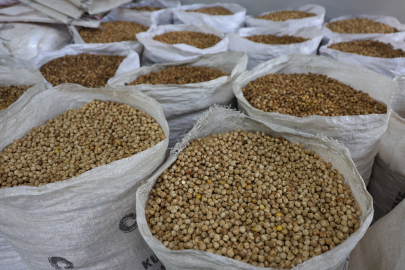 Elazığ, Ağın’da Yöresel Leblebi Yapımı Programı Düzenlendi