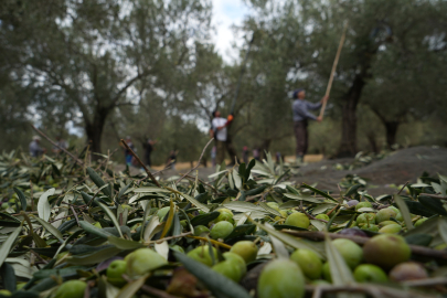 Ayvalık, Ara Tatilde Yoğun İlgiyle Dikkat Çekiyor