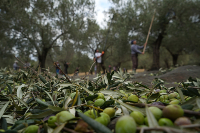 Ayvalık, Ara Tatilde Yoğun İlgiyle Dikkat Çekiyor