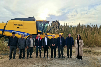 Konya, Endüstriyel Kenevir Hasadıyla Yeni Ürüne Yöneliyor