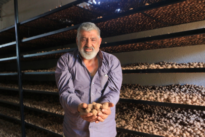 Çivril, Emekli Çiftçinin Ceviz Üretiminde Hızla Büyüyor