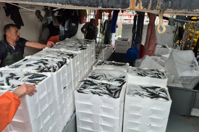 Süleymanpaşa’da Lodos Sonrası Balıkçıların Ağı Bereketle Doldu