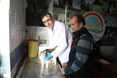 Söke’de Mikroçip Uyarısı, Son Tarih 31 Aralık 2025