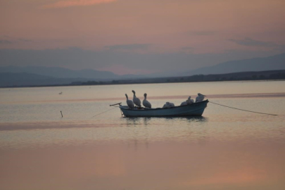 Manyas Barajındaki Su Azalınca Karacabey’de Çeltik Ekimi Yasaklandı