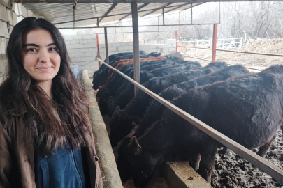 Yozgat’ta Destekle 15 Gebe Düve Alan Genç Sağlıkçı Hayvancılığa Başladı