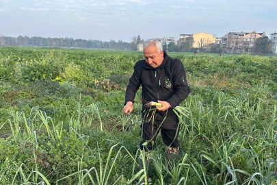 Osmangazi Belediyesi, Ata Tohumlu Sebzeler Kent Lokantası’nda