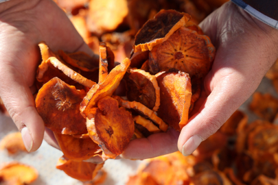 Adana, Kozan’da Cennet Hurması Almanya’ya İhraç Edildi