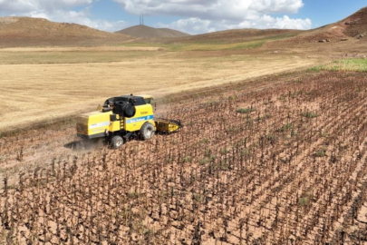 Ekim Ayında Tarımsal Girdi Fiyat Endeksi Yüzde 33,66 Arttı