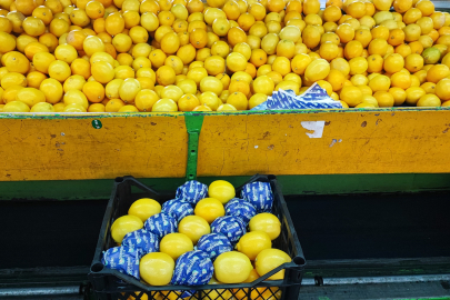 Adana’dan Yeni Yıl Öncesi Narenciye İhracatı Yoğunlaştı