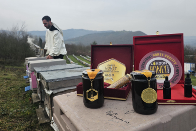 ZONGULDAK, KESTANE BALINDA İKİ YIL ÜST ÜSTE ALTIN ÖDÜL ALDI