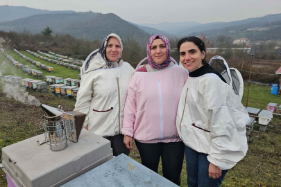Zonguldak, Akosman Ailesinin Kadınları Kestane Balı Üretiyor