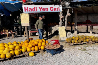 Araştırmacı Kavuncu Dede Ata Tohumlarını Yaşatıyor