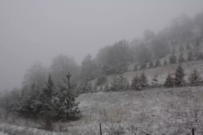 Yaylada Kara Yakalanan Çoban Türkülerle Isındı