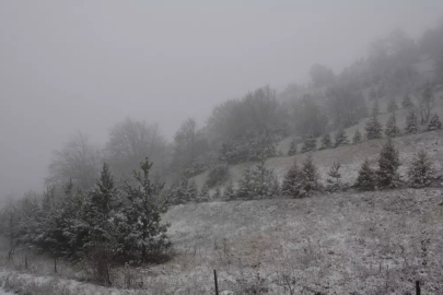 Yaylada Kara Yakalanan Çoban Türkülerle Isındı