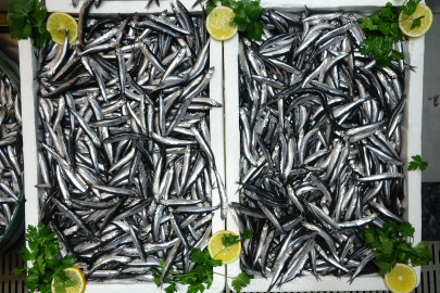 Türkiye hamsi ihracatında Avrupa pazarında öne çıktı