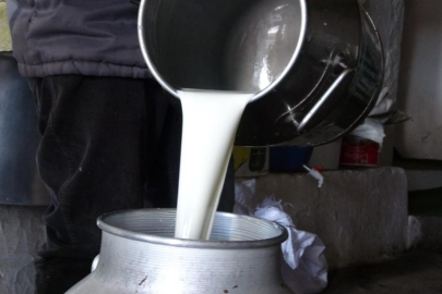 Çiğ süt fiyatları açıklandı