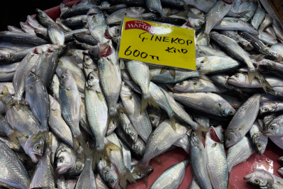 Denizlerdeki durgunluk balık tezgâhına yansıdı