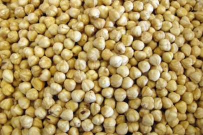 Fındık ihracatında düşüşün nedeni rekolte