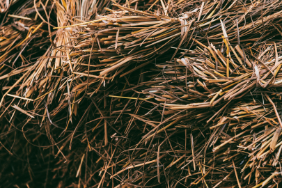 Çobanın çağrısı üzerine hayvanlara yem sevkiyatı Yapıldı