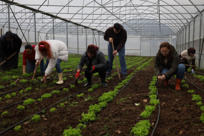 Tarım Akademisi’nde 16-55 yaş arası aday çiftçilere eğitim