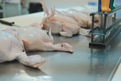 Aylık tavuk eti üretimi %5,5 azaldı