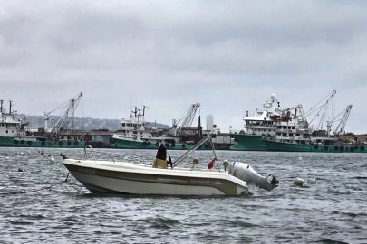 Uyanık lüfer balıkçıya yakalanmıyor