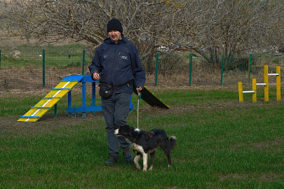 Kangal ve akbaşın ardından çobanlara yeni bir yardımcı geliyor
