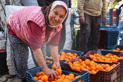 Bodrum Mandalini artık Türkiye geneline ulaşıyor