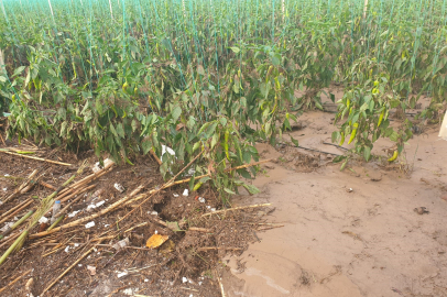 Sel sonrası Antalya’da hasar tespiti yapılıyor