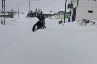 Sivas’ta 2 metreyi bulan kar hayvancılığı vurdu