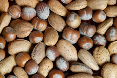 Dicle’de 2025’te üzüm, badem ve ceviz üretimi dikkat çekti