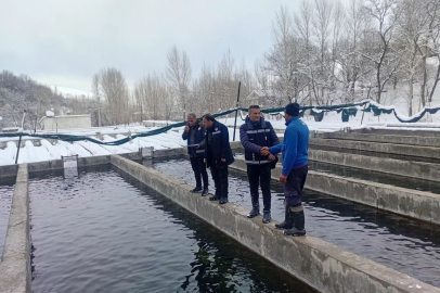 Van’da kış şartlarında alabalık üretimi