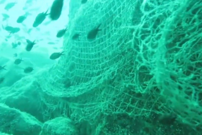 Karadeniz’de Hayalet Ağ Alarmı