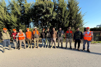 Serik’te Sürek Avıyla 22 Yaban Domuzu Vuruldu