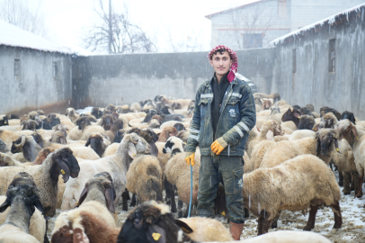 Muş’ta devlet desteği hayvancılığı büyüttü
