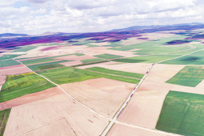 Tarımsal Destek Ödemeleri Üreticilerin Hesaplarına Yatıyor