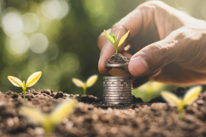 2025’te bitkisel üretime 1,15 milyar TL’lik kaynak