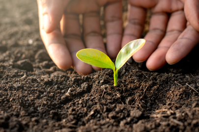 25 bin 200 fidanla Şırnak’ta 810 dekarlık meyve bahçesi kuruluyor