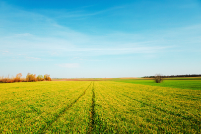 Kırsalda Genç Nüfus Alarm Veriyor