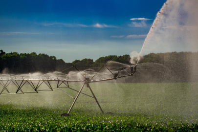 İzmir’de Tarım Örgütlerinden Su Krizi Tepkisi