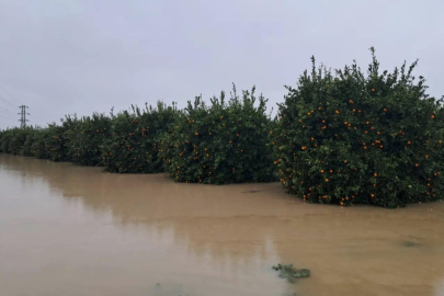 Antalya’da Sel Zararı 3 Milyar TL’ye Ulaşabilir