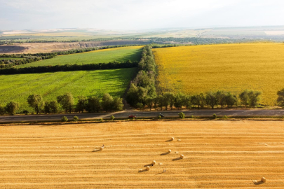 Hürmüz Krizi, Küresel Tarım Ticaretini Tehdit Ediyor