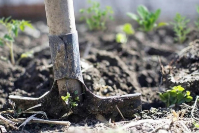 Hürmüz Krizi Tarımı Etkiledi: Gübrede Yeni Tedbirler