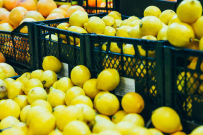 Limonda hasat dönemi: Kadınların yoğun mesaisi devam ediyor