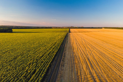 Tarım ÜFE Şubatta Yüzde 40 Arttı Meyve Fiyatları Öne Çıktı