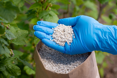 Rusya, amonyum nitrat ihracatını durdurdu