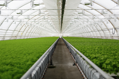 TARSİM prim oranlarını açıkladı