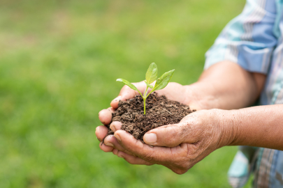 Kırsal kalkınma projelerine hibe sağlanacak